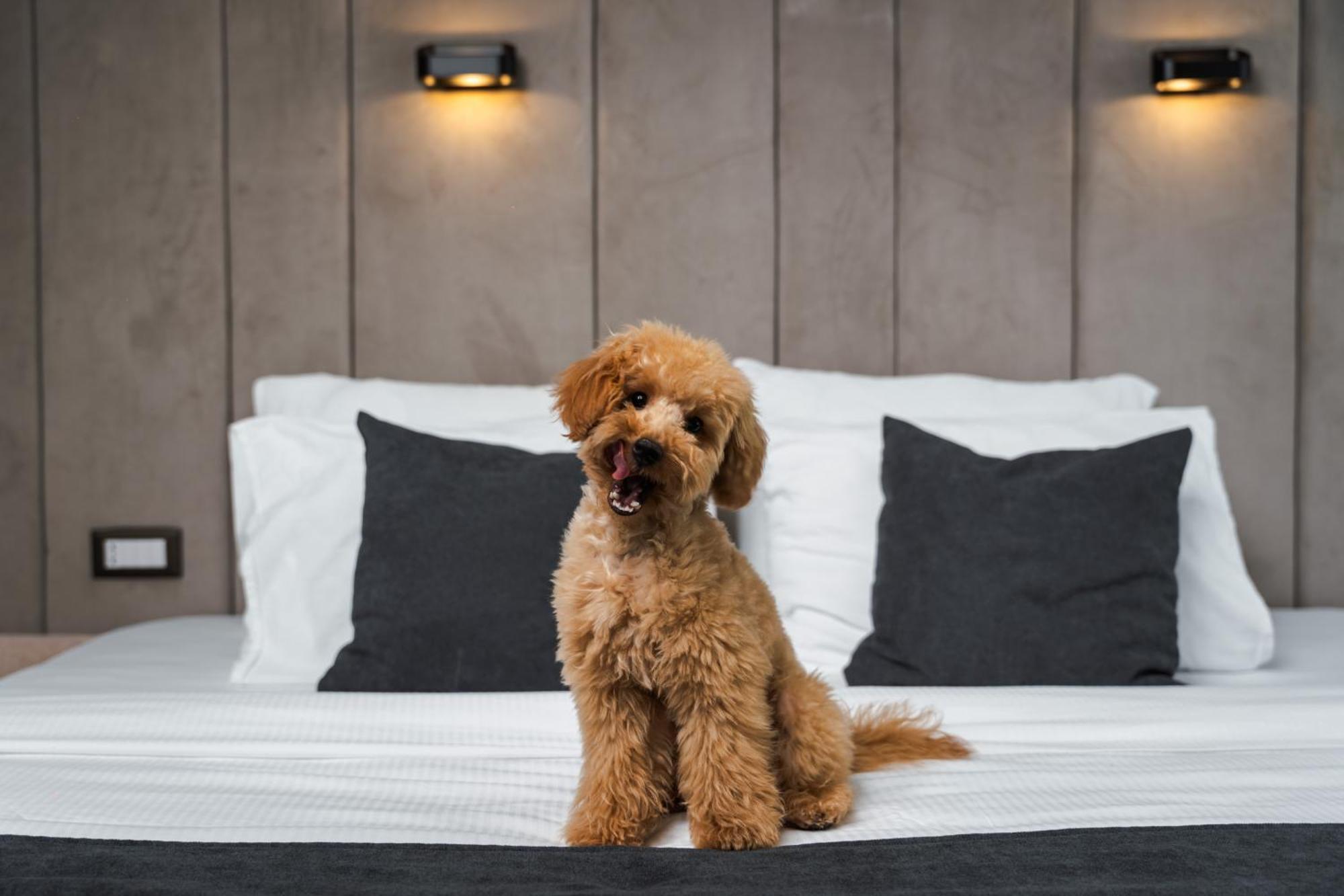 Hotel Medite And